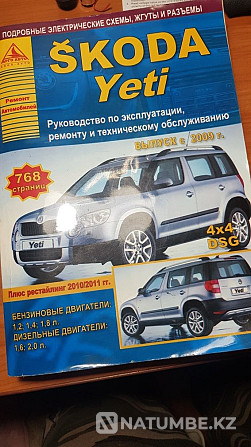 Book on ;Skoda Etty;5000t Almaty - photo 1