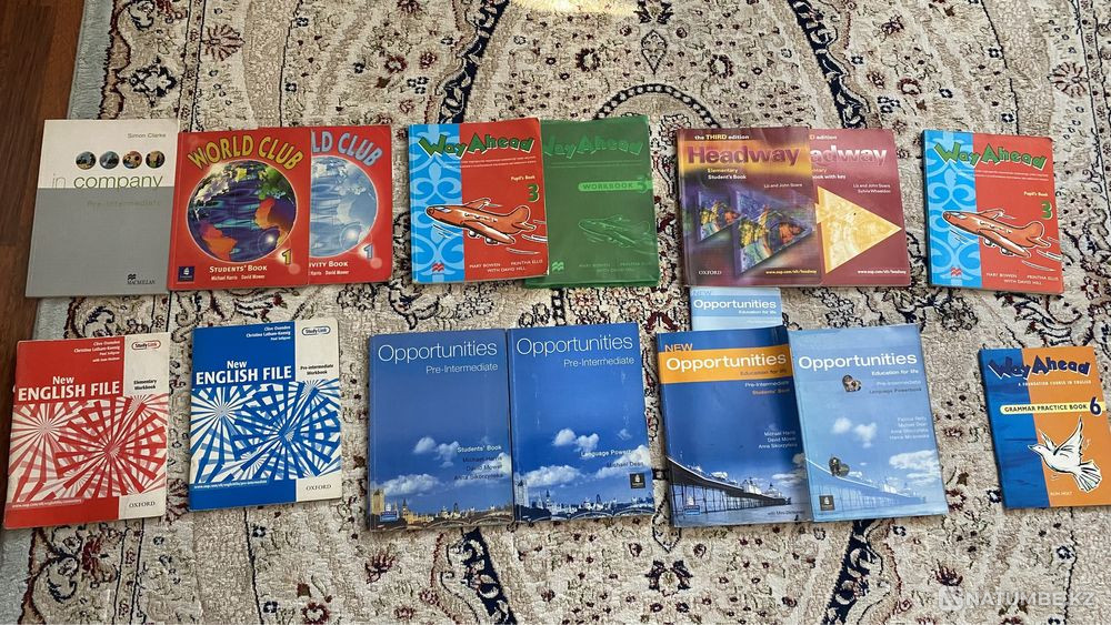 Opportunities books Almaty - photo 1