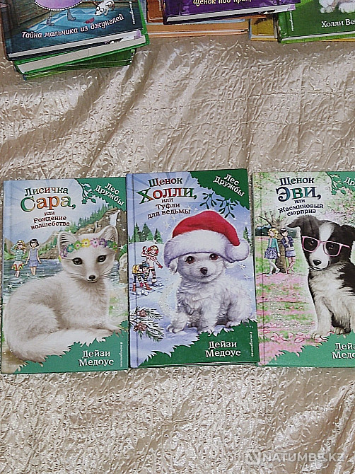 Books by various authors Almaty - photo 4