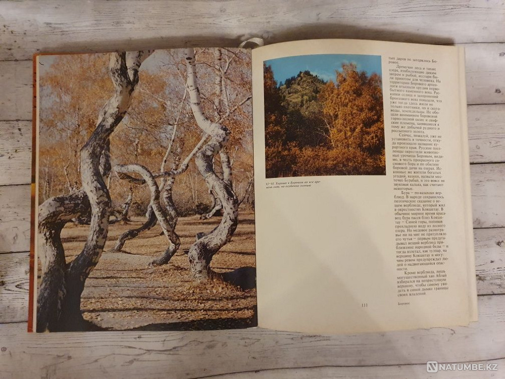 Қазақстанның інжу-маржаны кітабы  Алматы - изображение 3