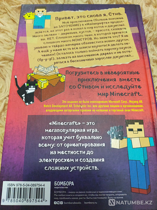 Steve Ocelot's Diary on Ocelot Almaty - photo 2