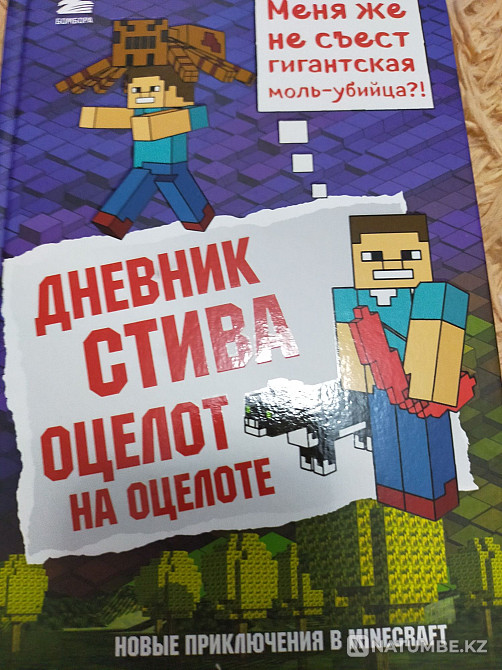 Steve Ocelot's Diary on Ocelot Almaty - photo 1