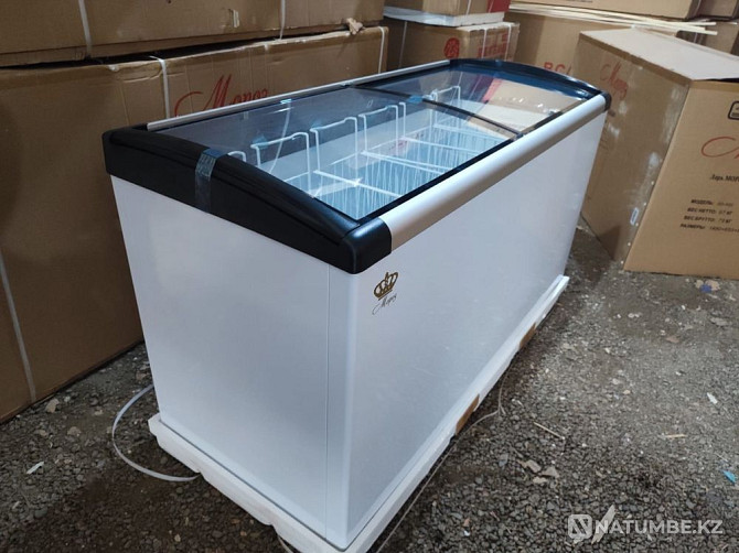 Freezers and refrigerator for the store Almaty - photo 2