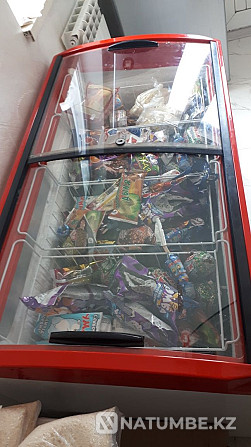 Selling refrigerator freezer Almaty - photo 4