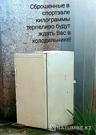 Refrigerator; in working order! Almaty - photo 1