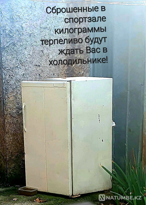 Холодильник;в рабочем состоянии! Алматы - изображение 1