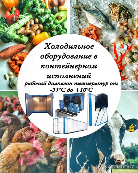 Морозильная камера холодильник Алматы - изображение 3