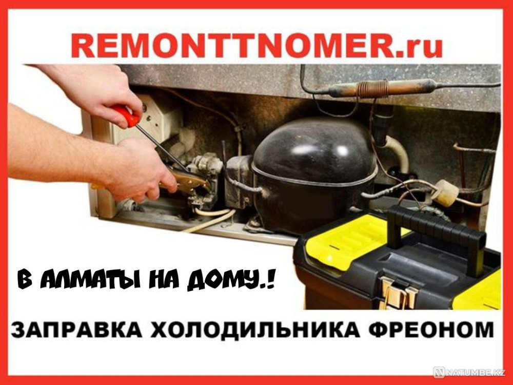 Repair of refrigerators and freezers Gas station in Almaty Almaty - photo 1