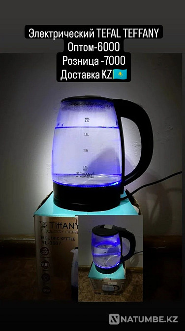 электрлік TEFAL TEFFANY; Темір BOSCH  Алматы - изображение 1