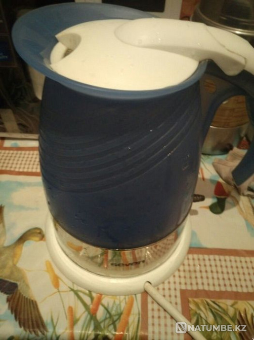 Electric kettle Seven. Almaty - photo 1