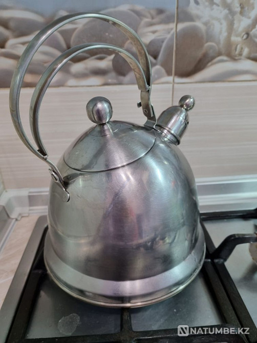 Чайник Gipfel Германия Алматы - изображение 4