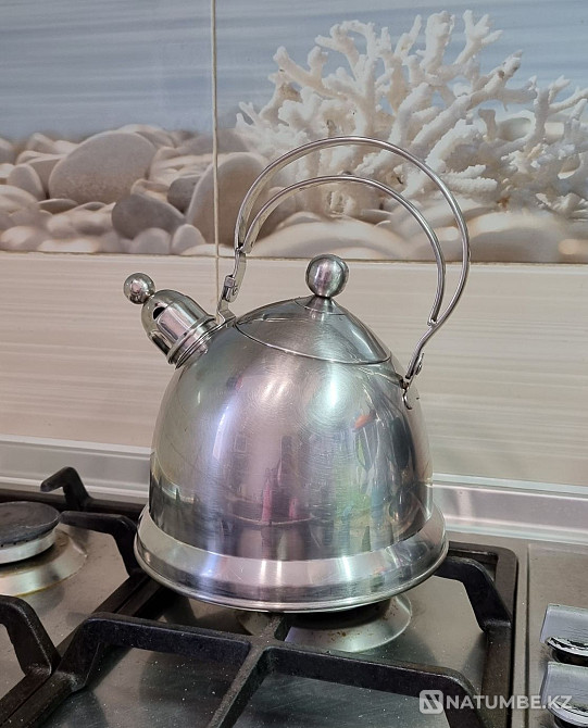 Чайник Gipfel Германия Алматы - изображение 1