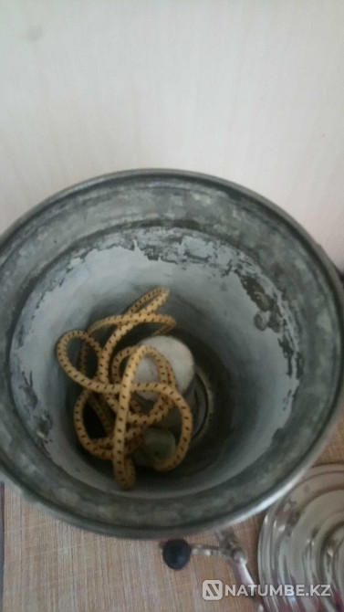 Электр самаурын (КСРО)  Алматы - изображение 3