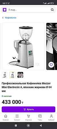 Профессиональная Кофемолка Mazzer Almaty