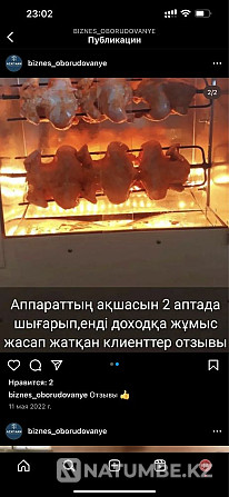 Әмбебап пештің электрлік газ гриль аппараты  Алматы - изображение 8