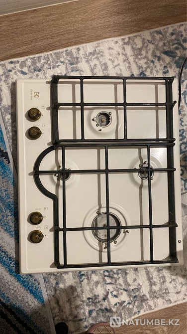 Пеш және «Electrolux» панелі  Алматы - изображение 5