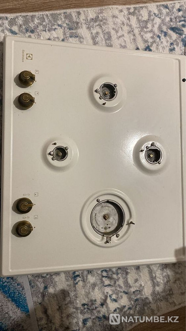 Пеш және «Electrolux» панелі  Алматы - изображение 6