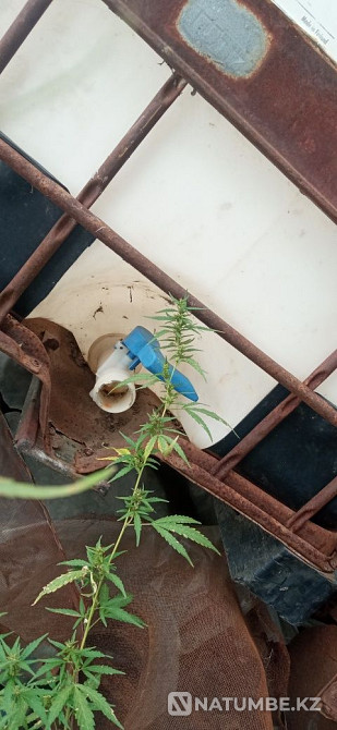 Продам трубы железные Алматы - изображение 3