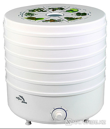 Dryer for vegetables and fruits with a YEAR warranty. DRYING FOR VEGETABLES Almaty - photo 3