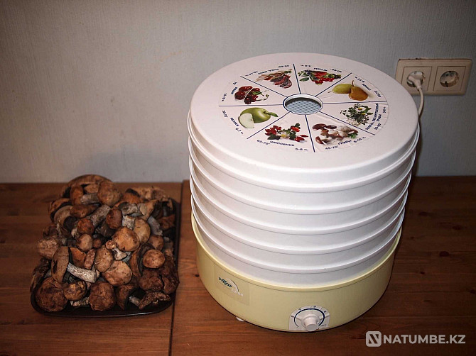 Dryer for vegetables and fruits with a YEAR warranty. DRYING FOR VEGETABLES Almaty - photo 1