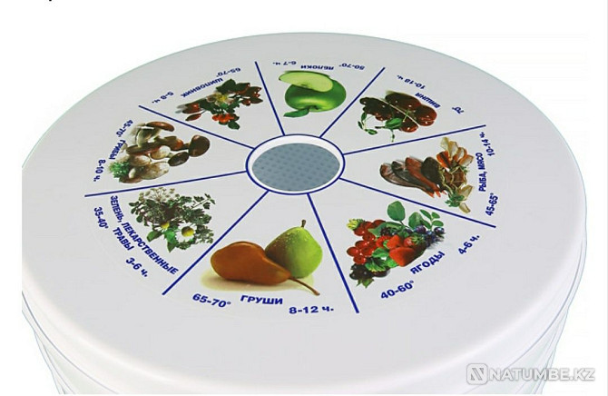 Dryer for vegetables and fruits with a YEAR warranty. DRYING FOR VEGETABLES Almaty - photo 5