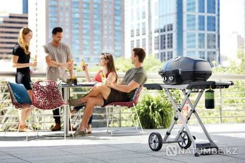 Napoleon Portable Gas Grill Almaty - photo 4