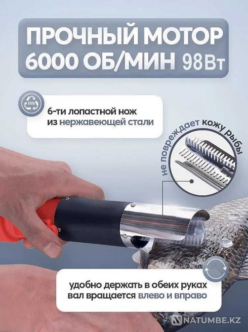 Электрическая рыбочистка ТЕХСОЛ Алматы - изображение 2