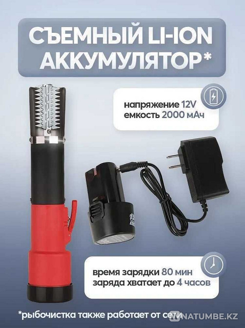 Электрическая рыбочистка ТЕХСОЛ Алматы - изображение 3