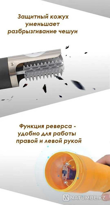 Электрическая рыбочистка ТЕХСОЛ Алматы - изображение 7