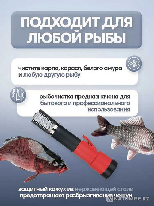 Электрическая рыбочистка ТЕХСОЛ Алматы - изображение 4