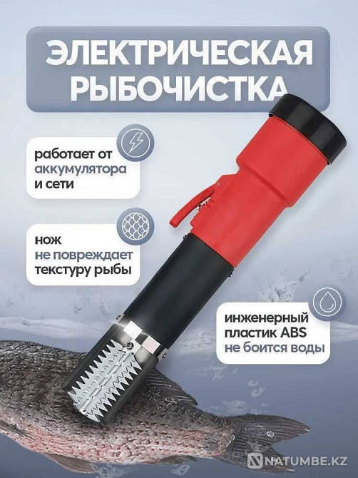 Электрическая рыбочистка ТЕХСОЛ Алматы - изображение 1