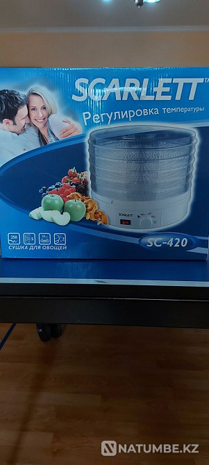 Vegetable and fruit dryer Skarlett SC-420 Almaty - photo 1