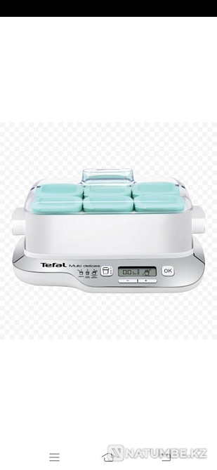 Yogurt maker Tefal Almaty - photo 1