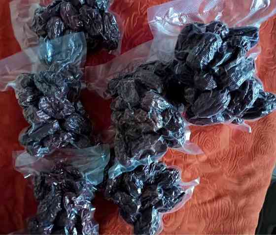 Домашний вакуумный упаковщик для продуктов Алматы