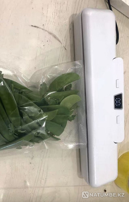 Домашний вакуумный упаковщик для продуктов Алматы - изображение 2