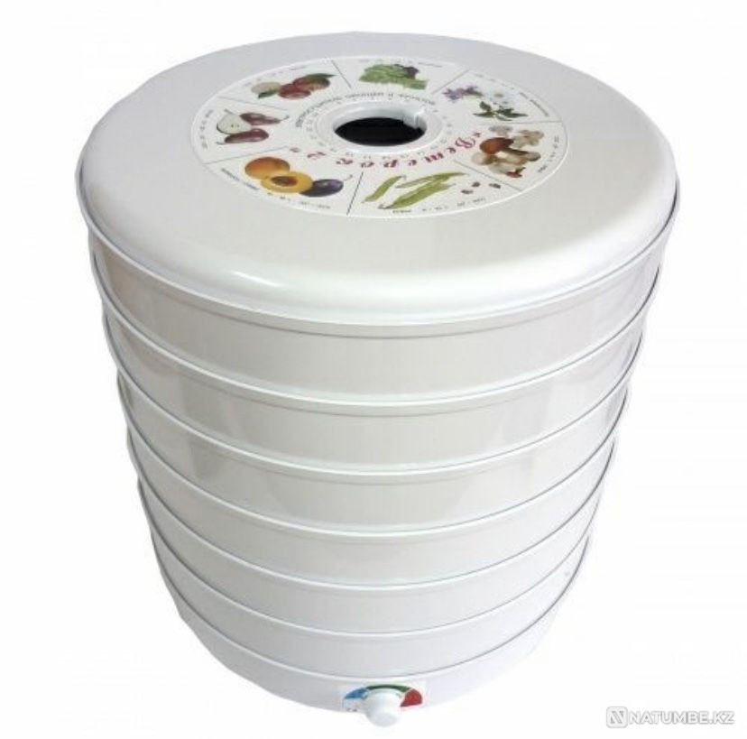 Дегидратор (сушилка овощей и фруктов) Ветерок-2 Россия ГАРАНТИЯ Алматы - изображение 6