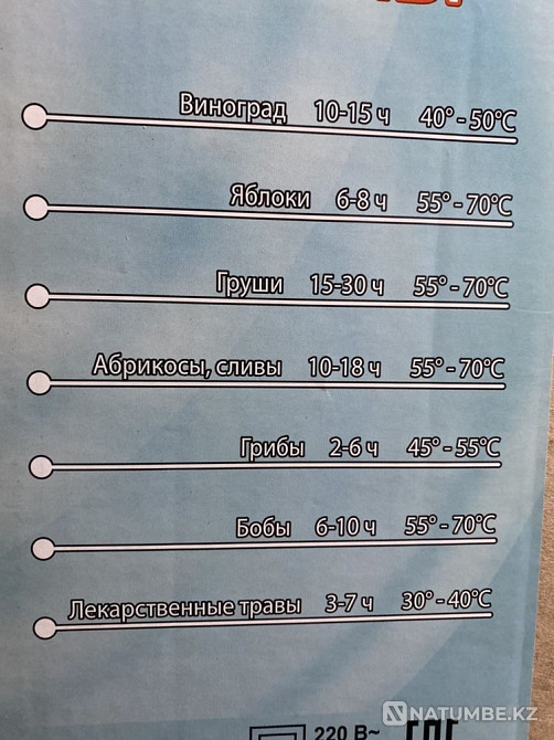 Дегидратор (сушилка овощей и фруктов) Ветерок-2 Россия ГАРАНТИЯ Алматы - изображение 3