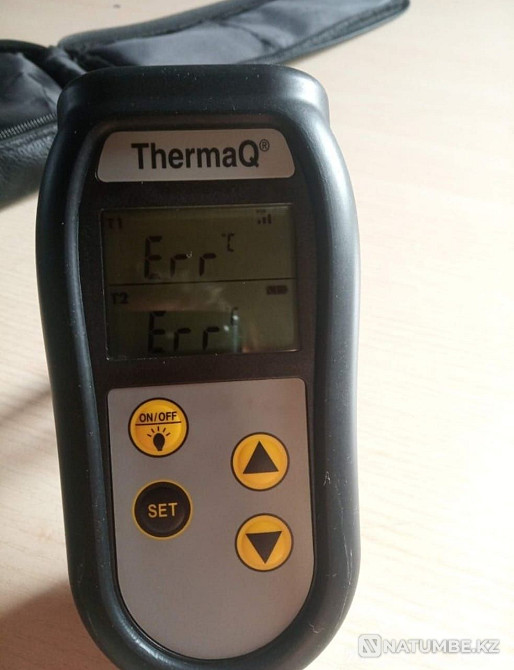 THERMAQ двухканальный термометр Алматы - изображение 1