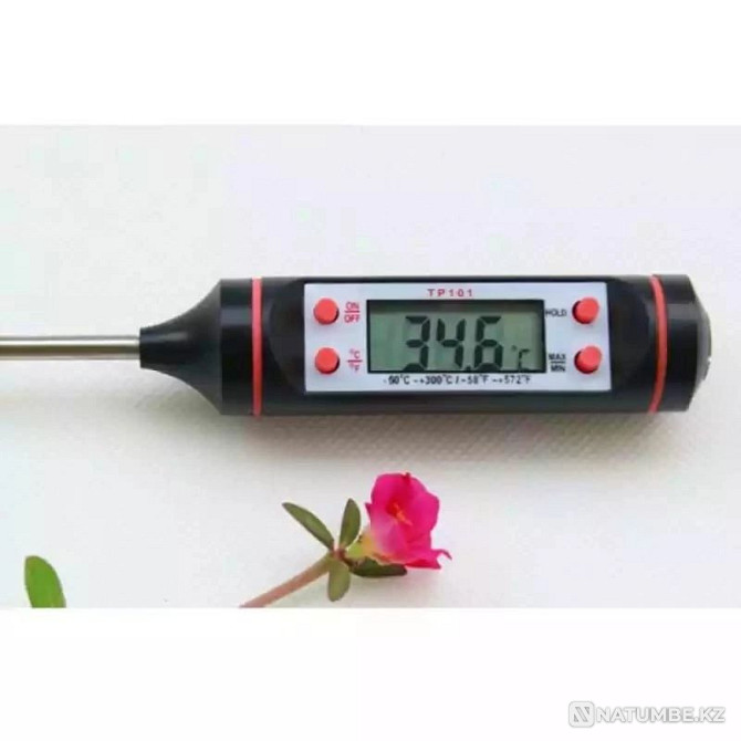 Продам термометры для еды Алматы - изображение 2