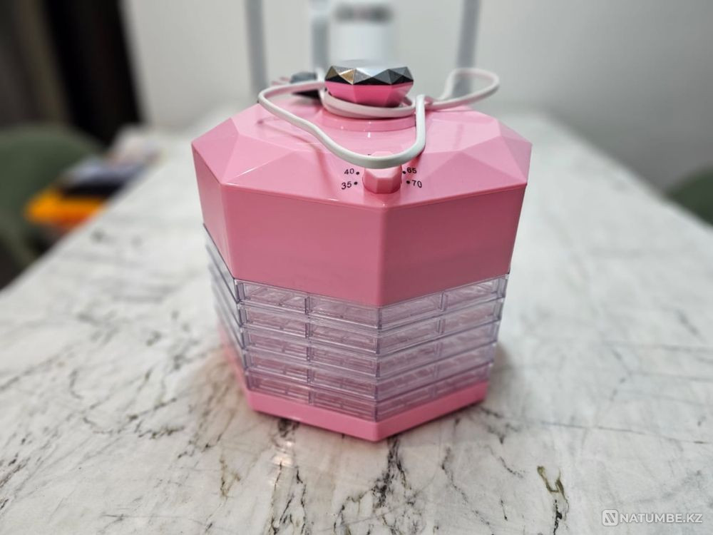 Electric food dryer Almaty - photo 1