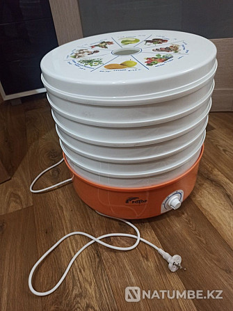 Сушилка для овощей; фруктов; рыбы и мяса Ротор Алматы - изображение 2