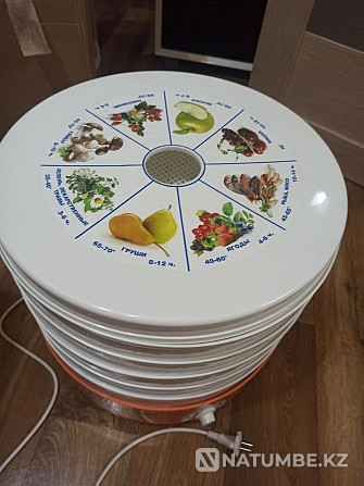 Сушилка для овощей; фруктов; рыбы и мяса Ротор Алматы - изображение 1