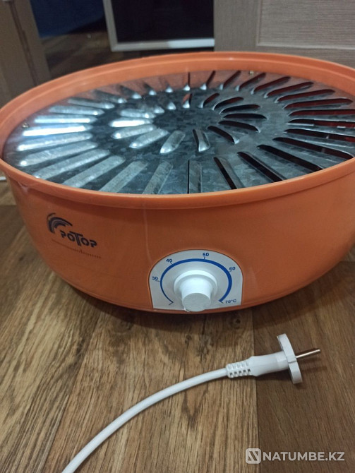 Dryer for vegetables; fruit; fish and meat rotor Almaty - photo 4