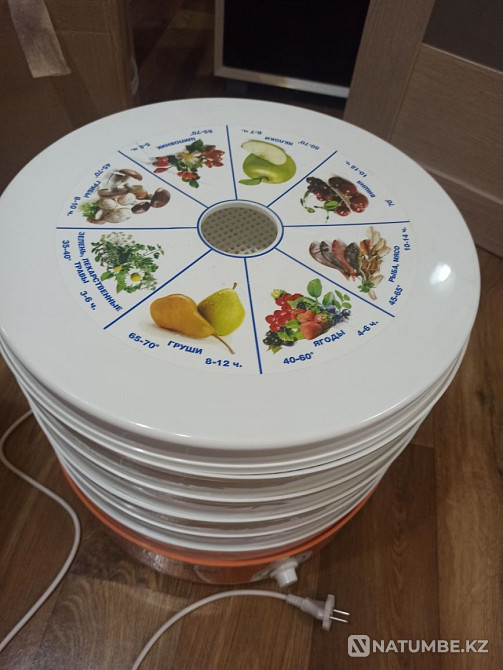 Dryer for vegetables; fruit; fish and meat rotor Almaty - photo 1