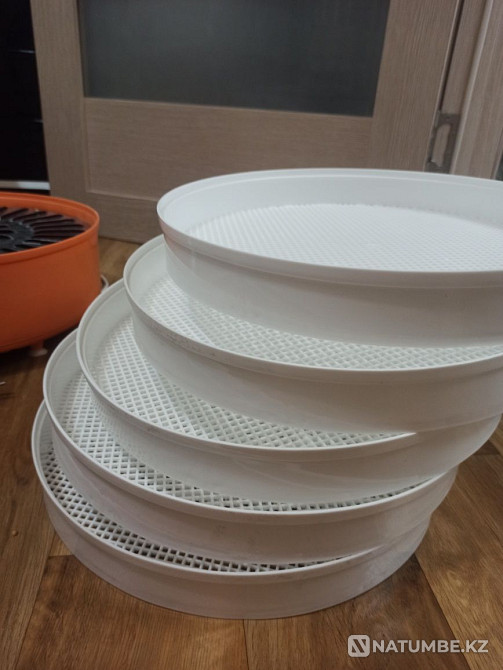 Dryer for vegetables; fruit; fish and meat rotor Almaty - photo 3