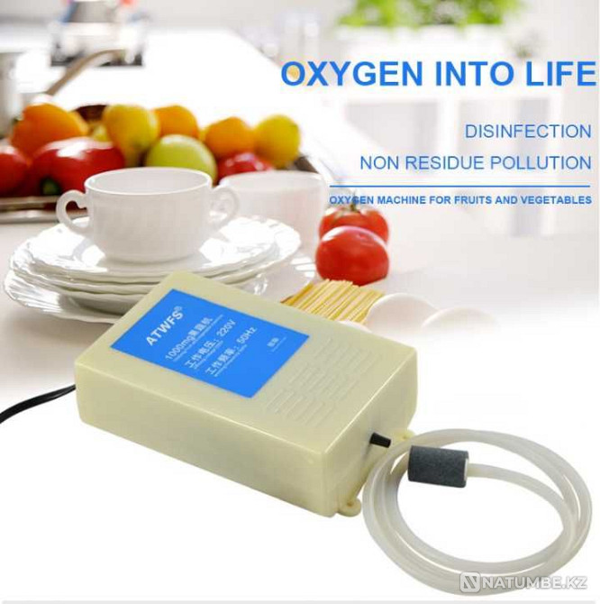 Тұрмыстық озонизатор. Су мен ауаны тазартады!  Алматы - изображение 3