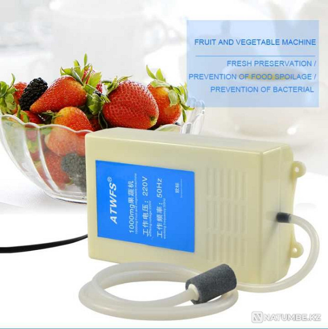 Тұрмыстық озонизатор. Су мен ауаны тазартады!  Алматы - изображение 1