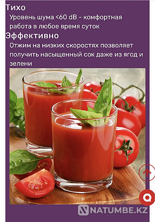 Соковыжималка шнековая Алматы - изображение 4