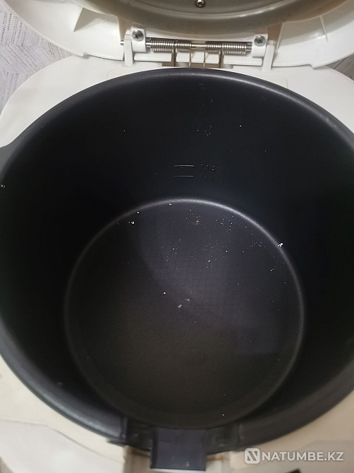 Фри қуыруға арналған қуырғыш; қанаттар; түйіршіктер және т.б.  Алматы - изображение 4