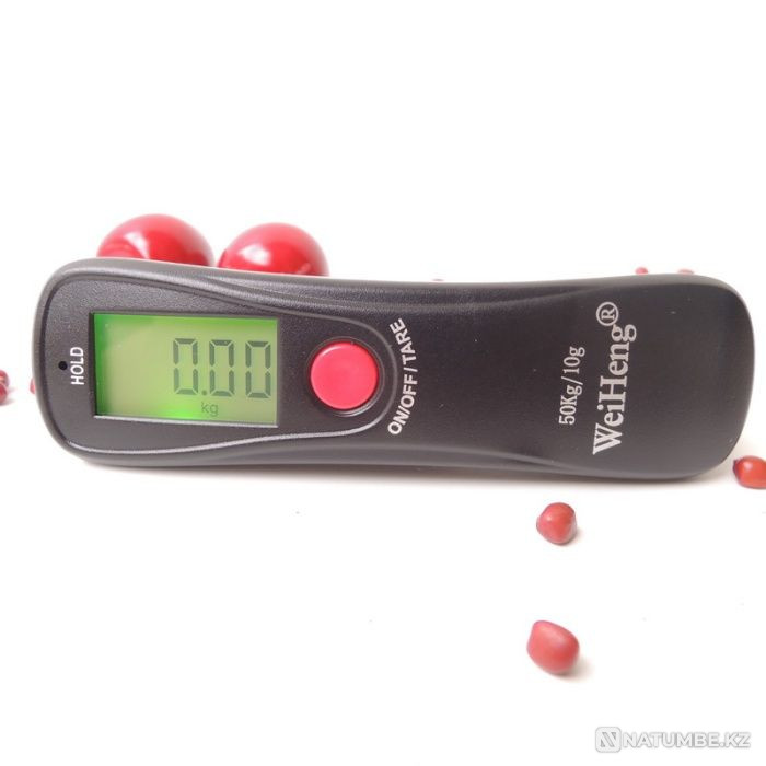 hand scales Almaty - photo 2